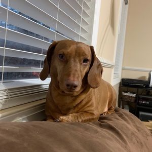 Meet your Posher, Eric